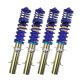 AP Sportfahrwerke Ford Fiesta (JH1, JD3, All, ST150 ) Adjustable Coilover Kits with TÜV Approval (GF30-018)