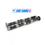 Cat Cams