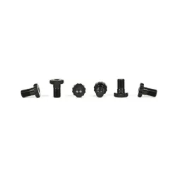 ZRP Flywheel Bolt Kit 1.6L 16v TU5J4/TU5JP4