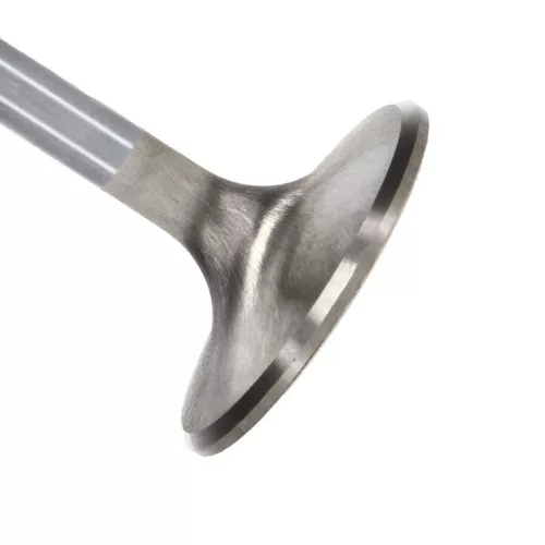 Manley Titanium Series BBC Exhaust Valve