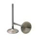 Manley Titanium Series BBC Intake Valve Kit