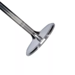 Manley Titanium Series Chevy LS-7 Intake Valve Kit