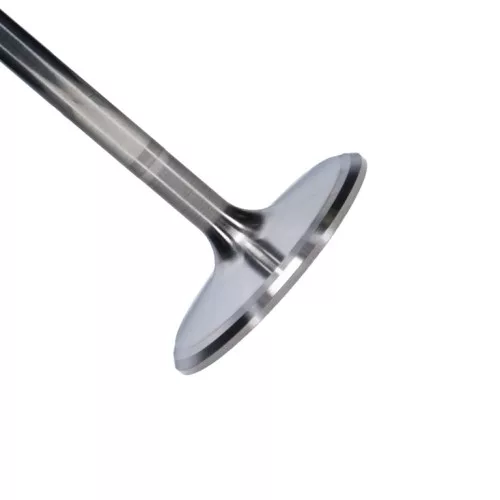 Manley Titanium Series Chevy LS-7 Intake Valve Kit