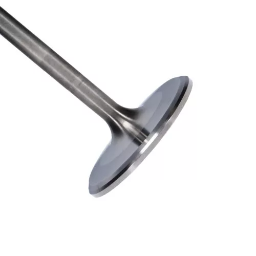 Manley Titanium Series Chevy LS-7 Intake Valve Kit