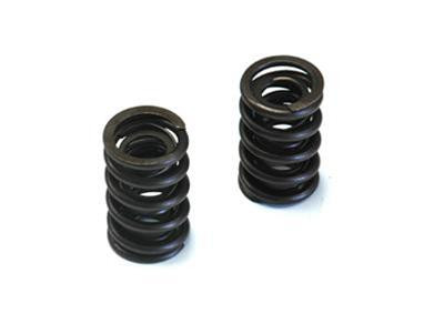 DART VALVE SPRINGS 1.550 #9365