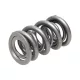 Manley Valve Spring 1.500 DOUBLE
