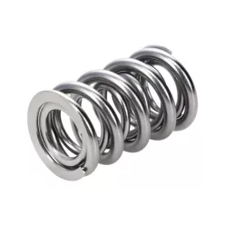 Manley Valve Spring 1424 POLISHED