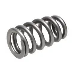 Manley Valve Spring 1.101 SINGLE
