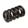 Manley Valve Spring 1.580 DOUBLE