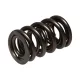 Manley Valve Spring 1.580 DOUBLE