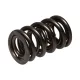 Manley Valve Spring 1.610 DOUBLE