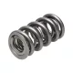Manley Valve Spring 1.620 DOUBLE