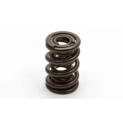 Manley Valve Spring 1.677 TRIPLE