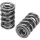 Manley Valve Spring 1448 POLISHED