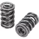 Manley Valve Spring 1448 POLISHED