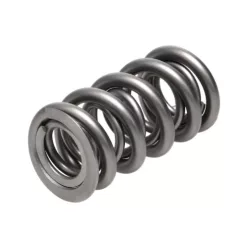 Manley Valve Spring 1.550 DOUBLE