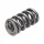 Manley Valve Spring 1.550 DOUBLE