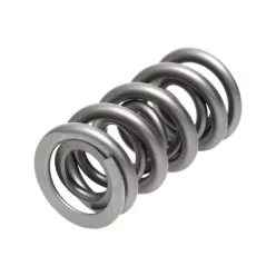 Manley Valve Spring 1.500 DOUBLE