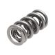 Manley Valve Spring 1.500 DOUBLE