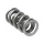 Manley Valve Spring 1.540 DOUBLE