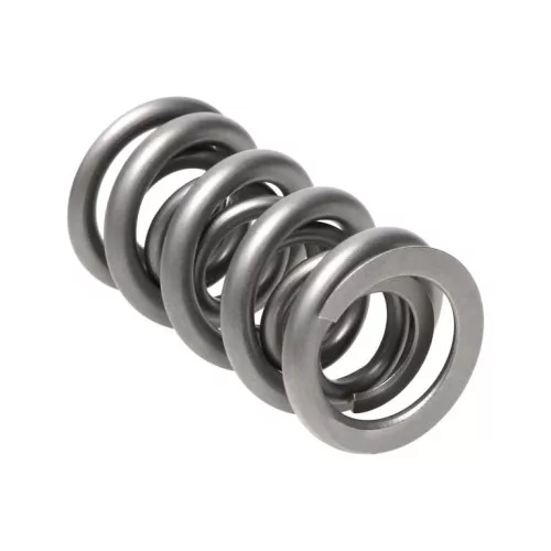 Manley Valve Spring 1.540 DOUBLE