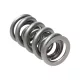 Manley Valve Spring 1.540 DOUBLE