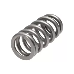 Manley Valve Spring FORD/MAZDA 2.3L