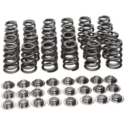 Manley Valve Spring Kit Spring/Retainer