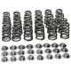 Manley Valve Spring Kit Spring/Retainer