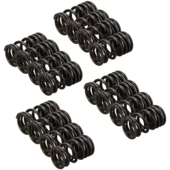 Manley Valve Spring Kit Spring/Retainer