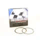 Total Seal Ring Set Conventional Top 93,00mm