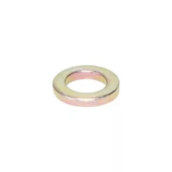 Manley Washer, WASHERS-GOLD IRR T