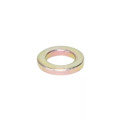 Manley Washer, WASHERS-GOLD IRR T