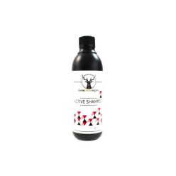 Daniel Washington Active Shampoo 500ml (Szampon)
