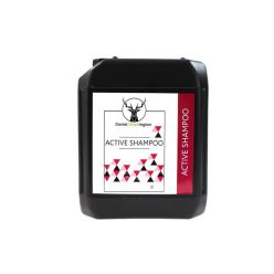 Daniel Washington Active Shampoo 5L