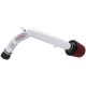 AEM Air Intake System 21-494P