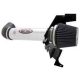 AEM Air Intake System AEM 21-8219DP