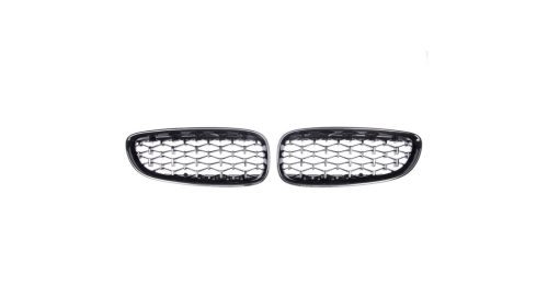 Grill BMW Z4 E89 Gloss Black