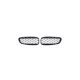 Grill BMW Z4 E89 Gloss Black