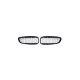 Grill BMW Z4 E89 Gloss Black & Chrome