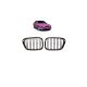 Grill BMW 5 E39 Dual Line Gloss Black