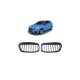 Grill BMW 2 F45 Single Line Matt Black