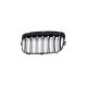 Grill BMW 2 F45 Dual Line Gloss Black