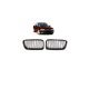 Grill BMW 7 E38 Dual Line Gloss Black