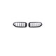 Grill BMW Z4 G29 Dual Line Gloss Black