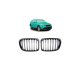 Grill BMW X1 E84 Single Line Gloss Black