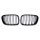 Grill BMW X5 E53 Dual Line Gloss Black