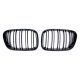 Grill BMW X5 E53 Dual Line Gloss Black