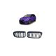 Grill BMW 2 F45 F46 Facelift Single Line Gloss Black