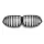 Grill BMW X6 G06 F96 Dual Line Gloss Black